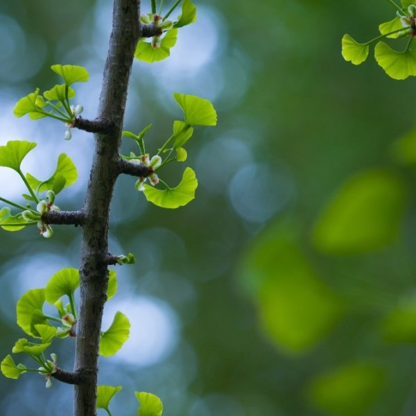 教練故事｜企業文化的園丁