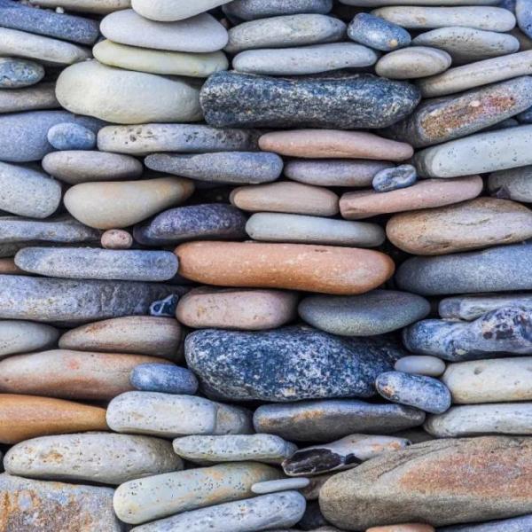 ｜閱讀｜建立專業關係的信任方程式