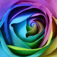 社群與情緒智慧如何影響教練與客戶