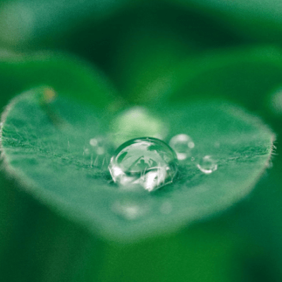 ｜溫習｜2022 如光新春年會紀實