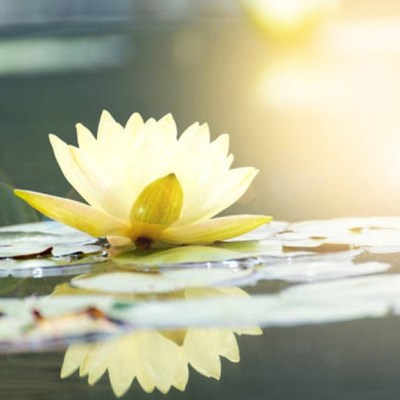 教練模式在工作壓力管理上的應用與實踐