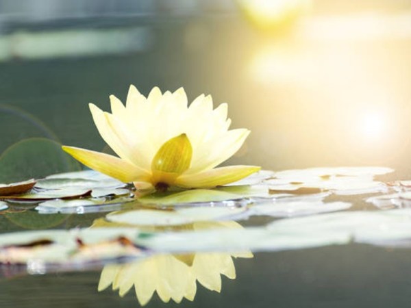 教練模式在工作壓力管理上的應用與實踐