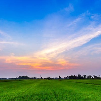 自我批判自我批判的莫比烏斯環