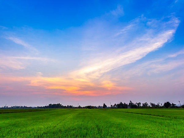 自我批判自我批判的莫比烏斯環